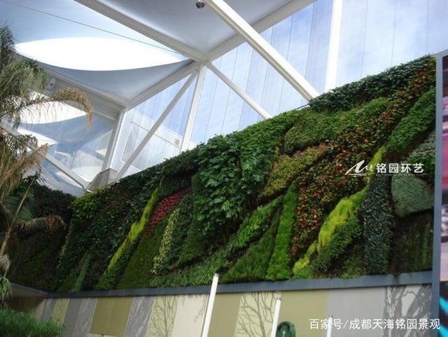 10.19植物墙图片案例分享,商业区域垂直绿化景观