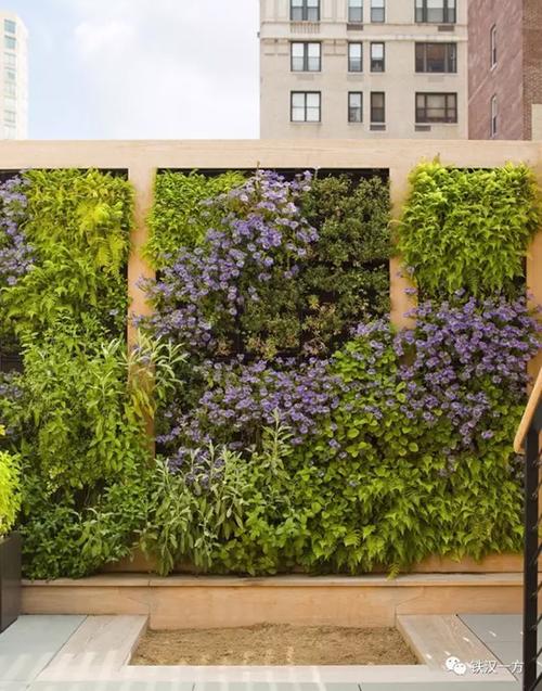 室内 垂直绿化植物墙不仅可以起到净化空气的作用,而且可以有效地